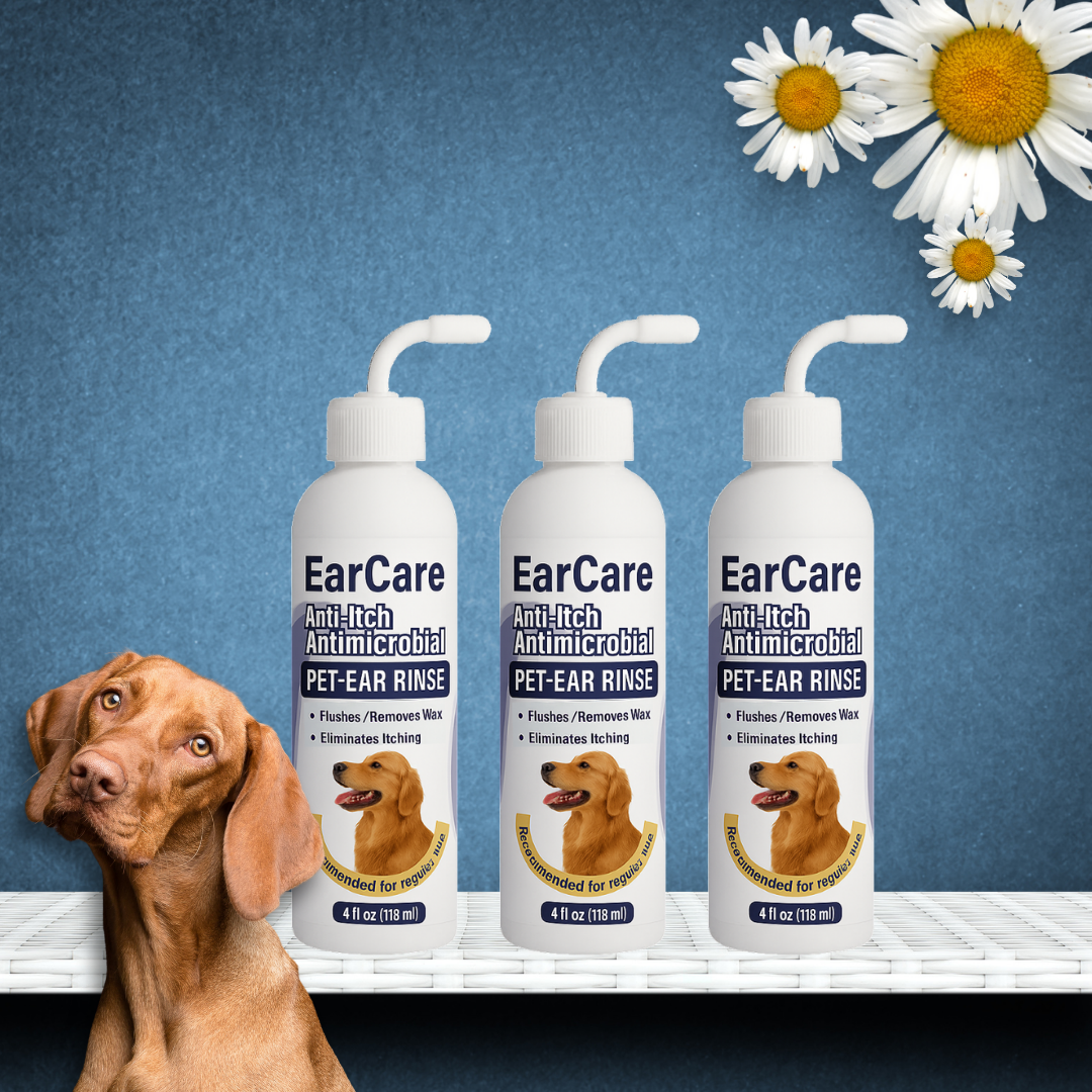 EarCare™ NL/BE - 2