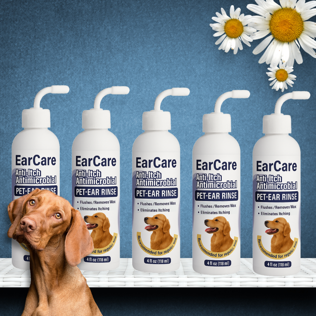 EarCare™ NL/BE - 2